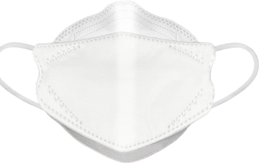 Disposable FN95 Mask - Adult